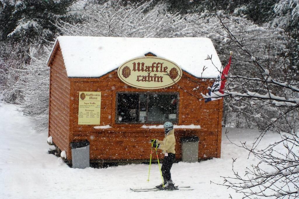 Skiing, Hiking, Village Of Eville Mtn Escape 埃利科特维尔 外观 照片